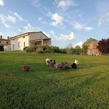 Apartamento Il Nido
